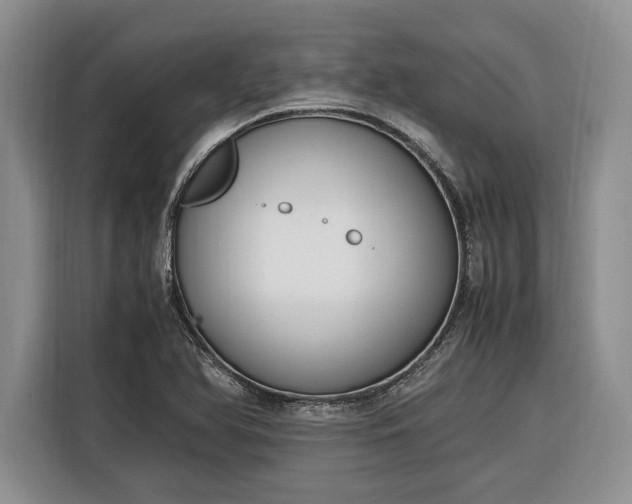 X0000116331366200912091031