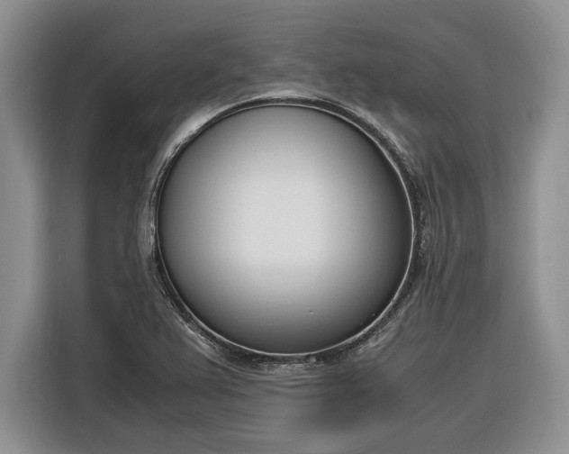 X0000116331367200912091031