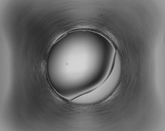 X0000116331369200912091031