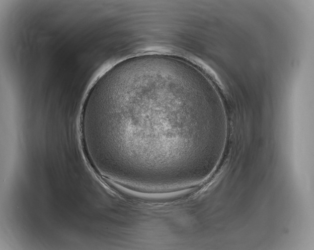 X0000116331373200912091031