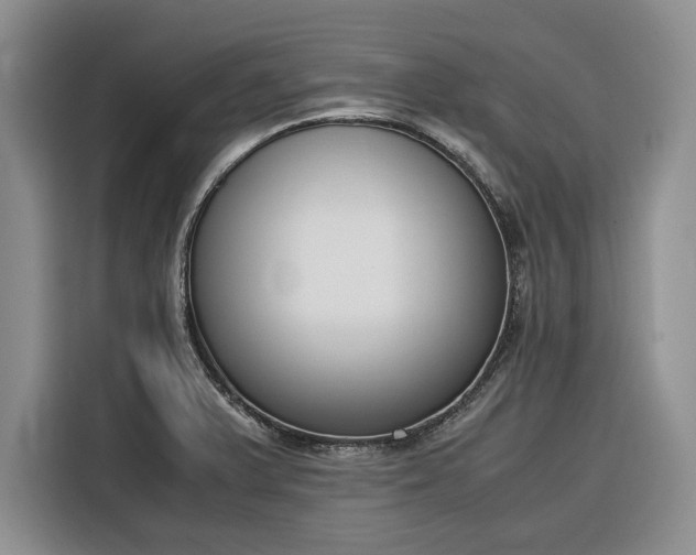 X0000116331375200912091031