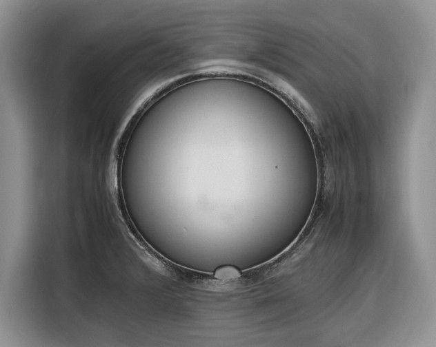 X0000116331376200912091031