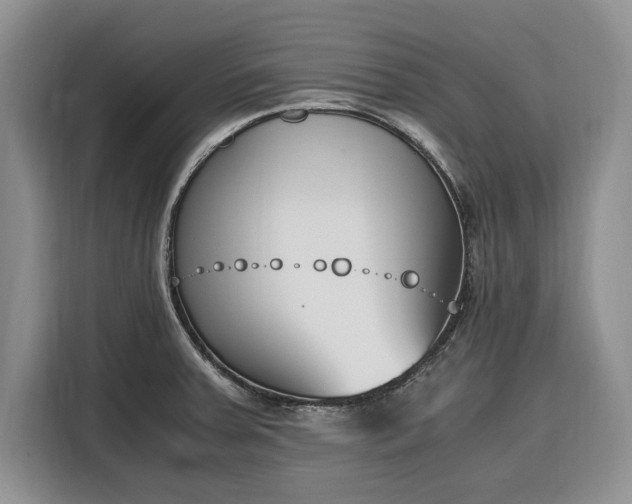 X0000116331379200912091030