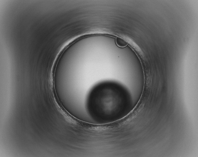 X0000116331380200912091030