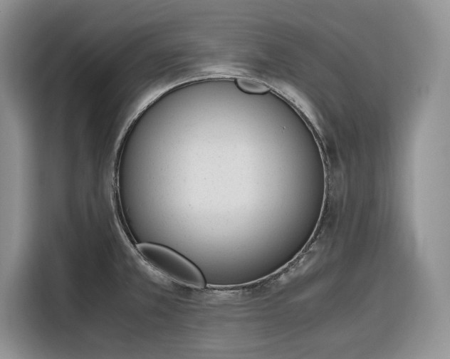 X0000116331381200912091030