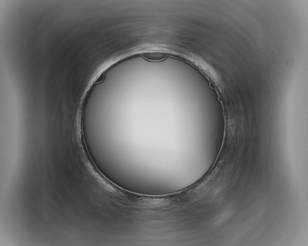 X0000116331382200912091030