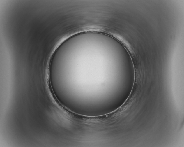 X0000116331383200912091030