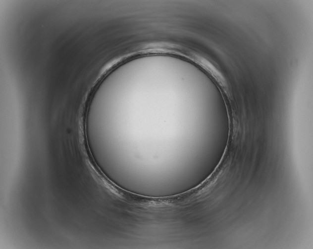 X0000116331384200912091030