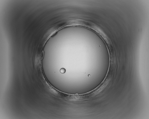 X0000116331385200912091030