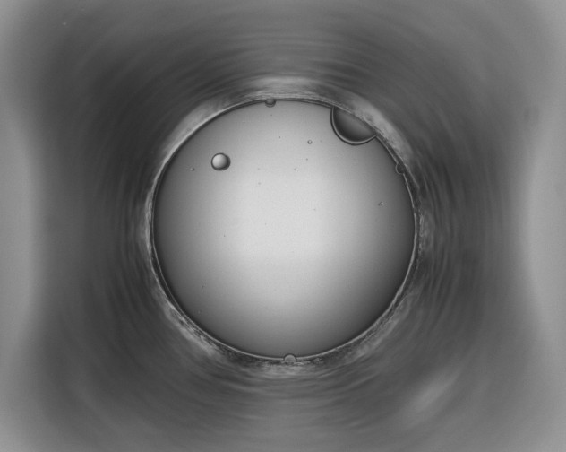 X0000116331386200912091030