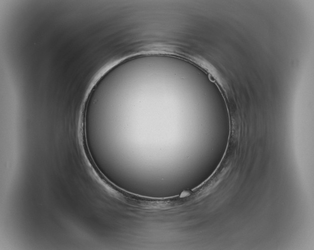 X0000116331387200912091030