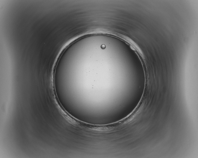 X0000116331388200912091030
