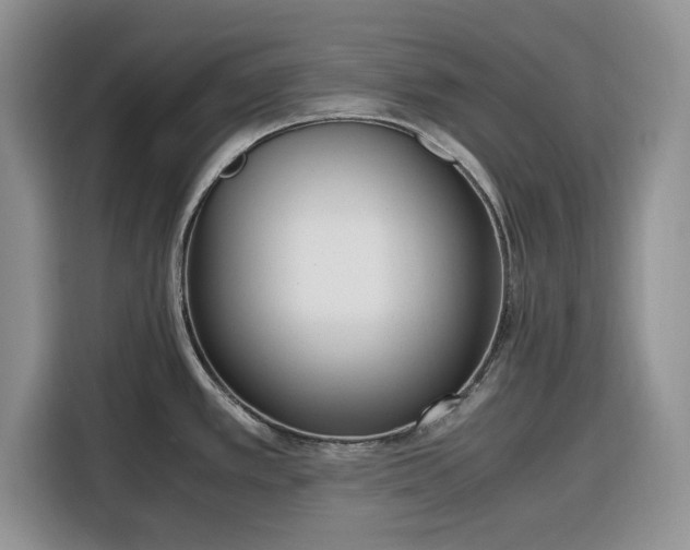 X0000116331389200912091030