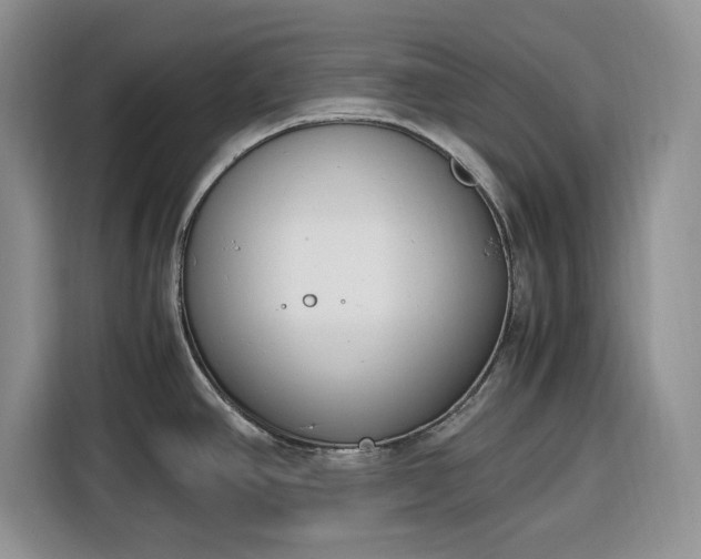 X0000116331390200912091030