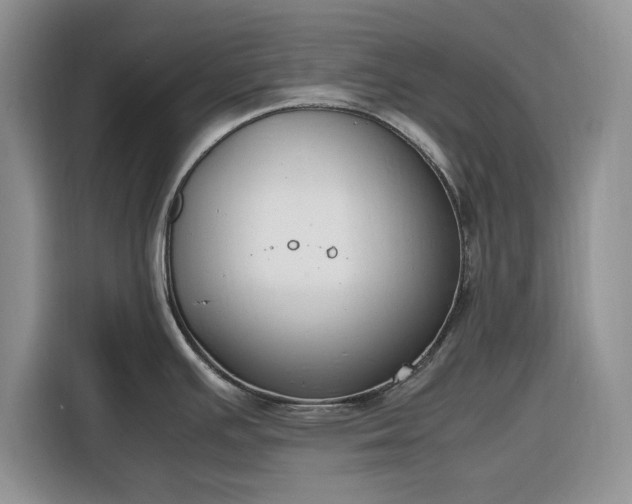 X0000116331391200912091030