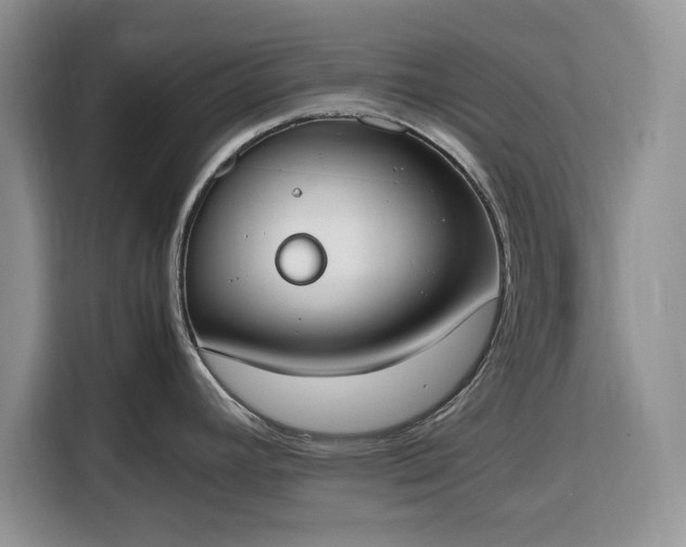 X0000116331392200912091030