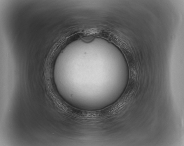 X0000116331393200912091030