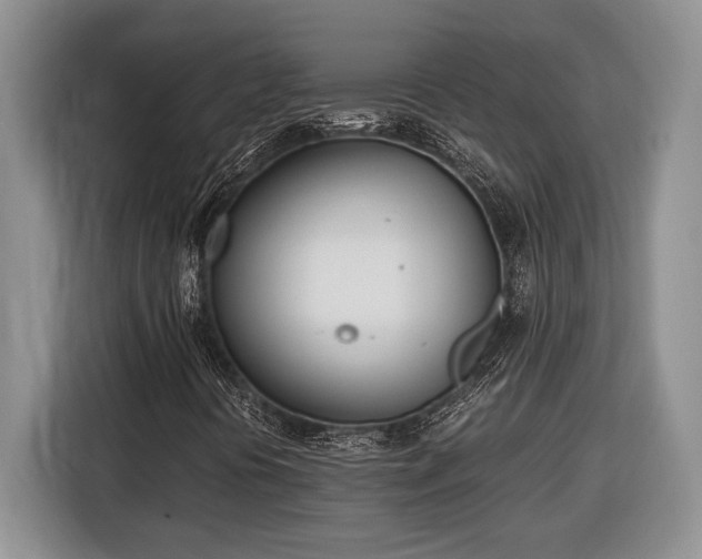 X0000116331394200912091030