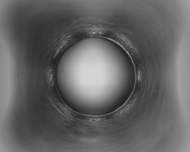 X0000116331396200912091030