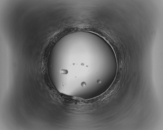 X0000116331398200912091030