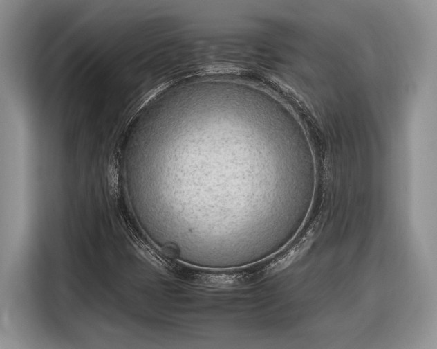 X0000116331401200912091030