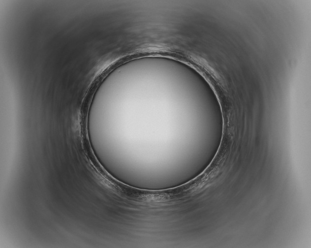 X0000116331404200912091030