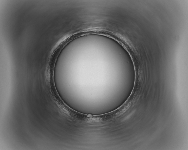 X0000116331406200912091030