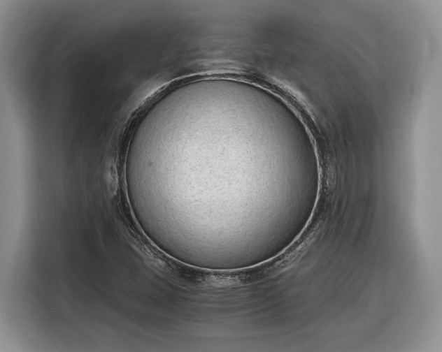 X0000116331407200912091030