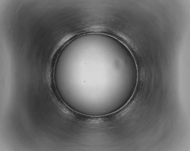 X0000116331410200912091030