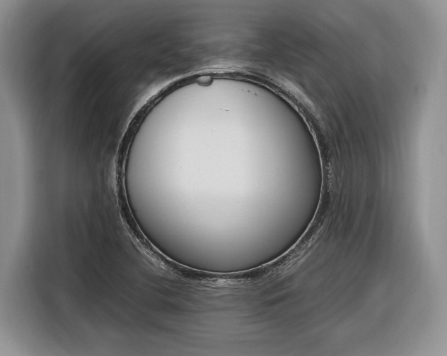 X0000116331412200912091030