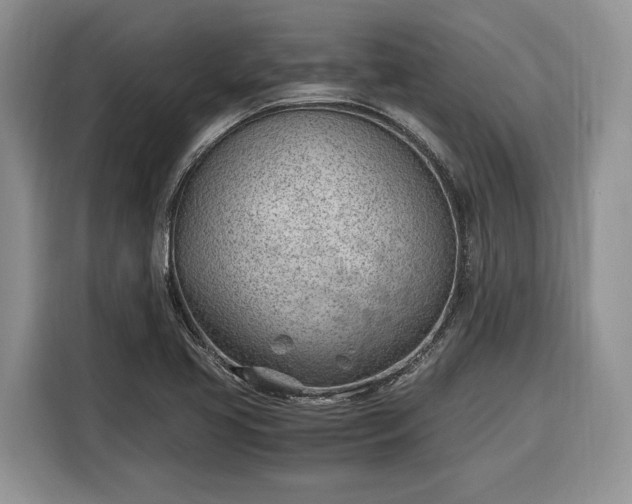 X0000116331413200912091030