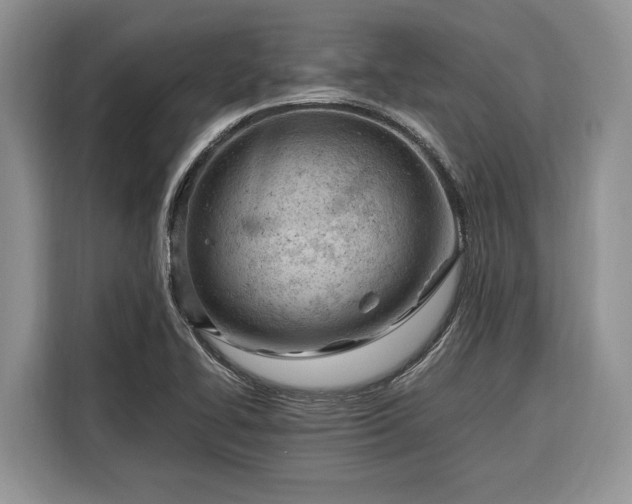 X0000116331414200912091030
