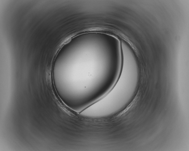 X0000116331417200912091030