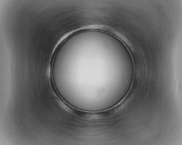 X0000116331420200912091030