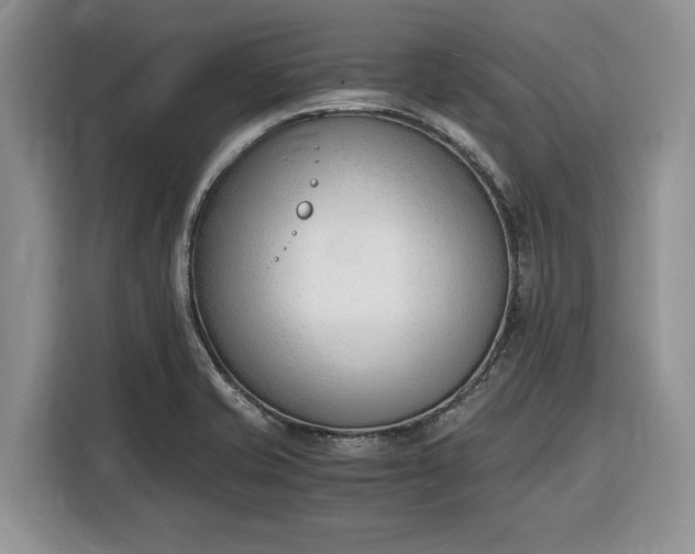 X0000116331421200912091030