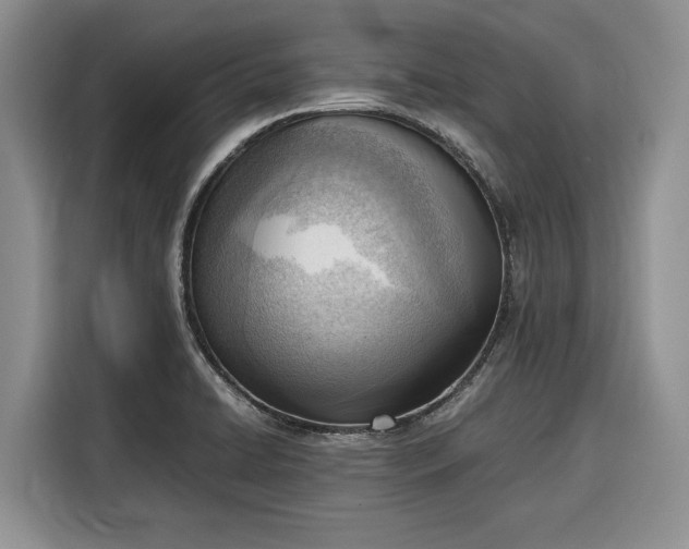 X0000116331422200912091030