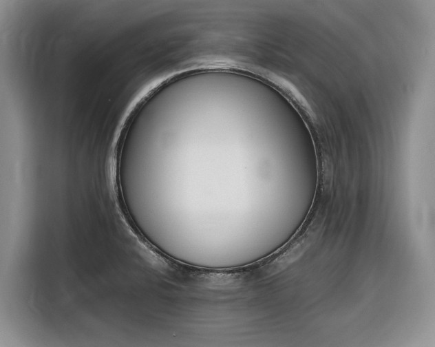 X0000116331424200912091030