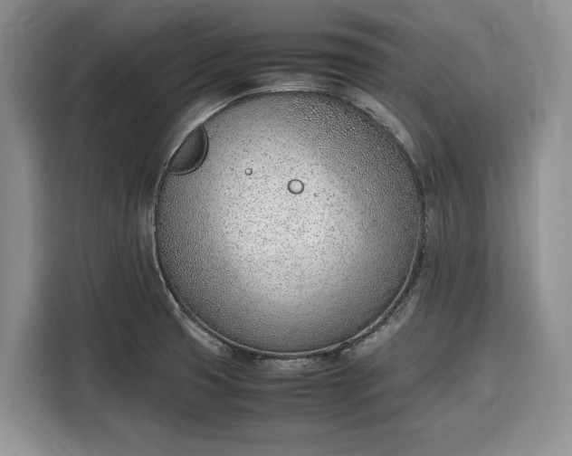 X0000116331425200912091030