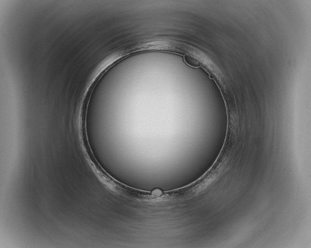 X0000116331426200912091030