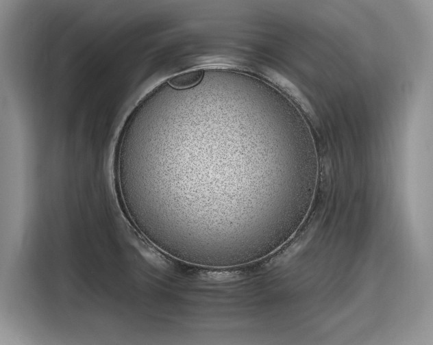 X0000116331427200912091030
