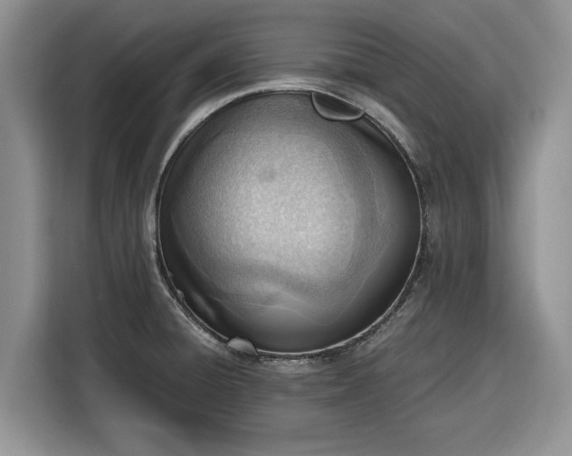 X0000116331428200912091030