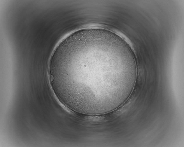 X0000116331429200912091030