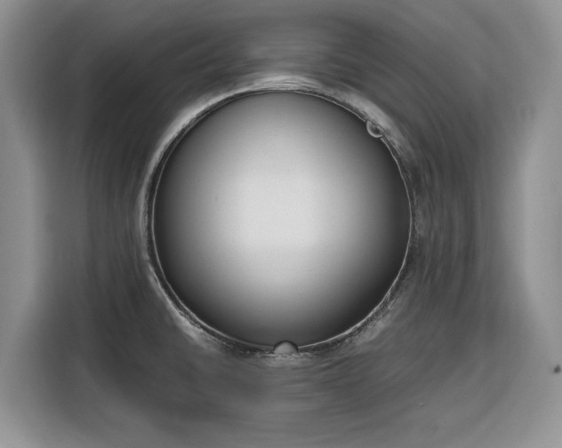 X0000116331430200912091030