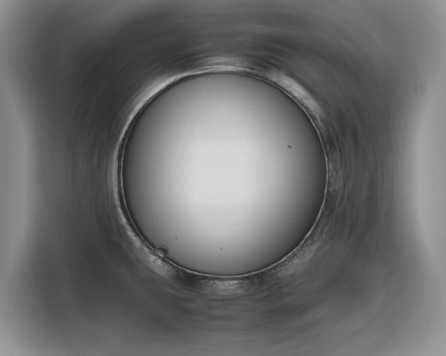 X0000116331431200912091030