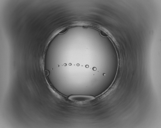 X0000116331433200912091030