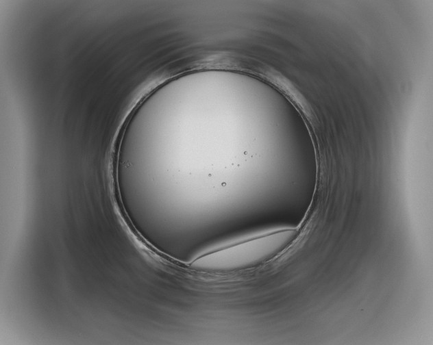 X0000116331434200912091030