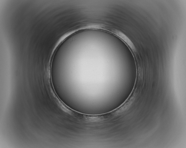 X0000116331436200912091030