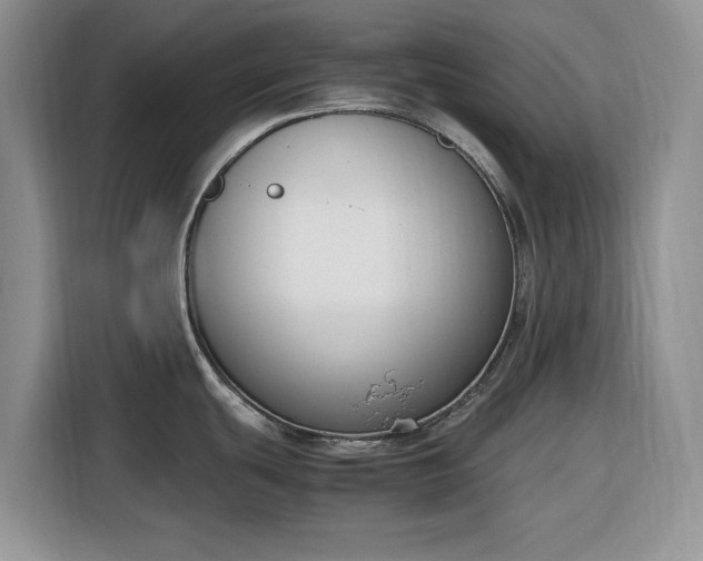 X0000116331439200912091030