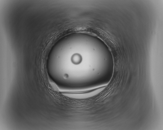X0000116331441200912091030