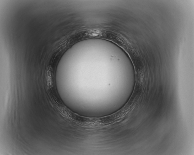 X0000116331442200912091030